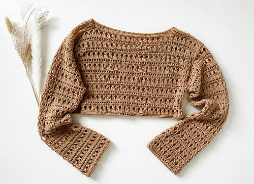 Boho Lace Crop Top Crochet Pattern — Long Sleeve Openwork Crop